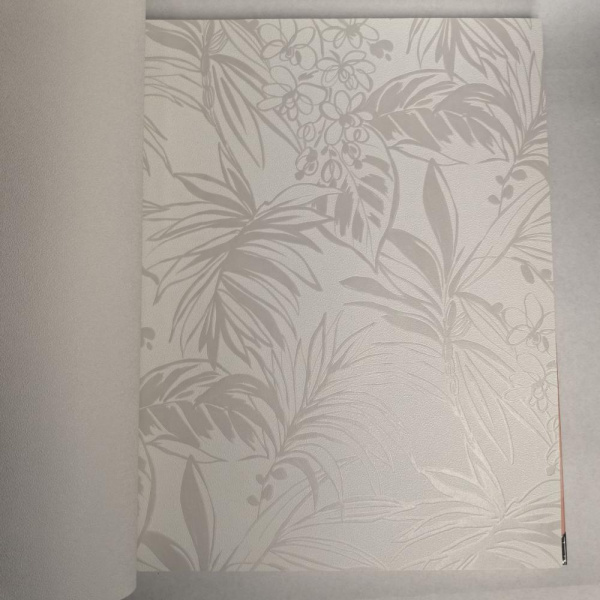 Andrea Rossi Berggi 54446-2