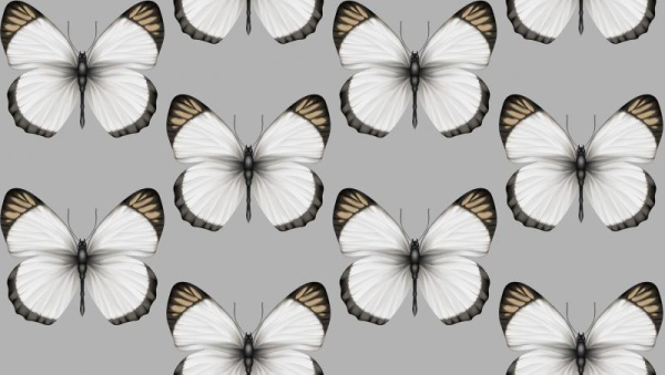 Andrea Rossi Cheradi 54401-6