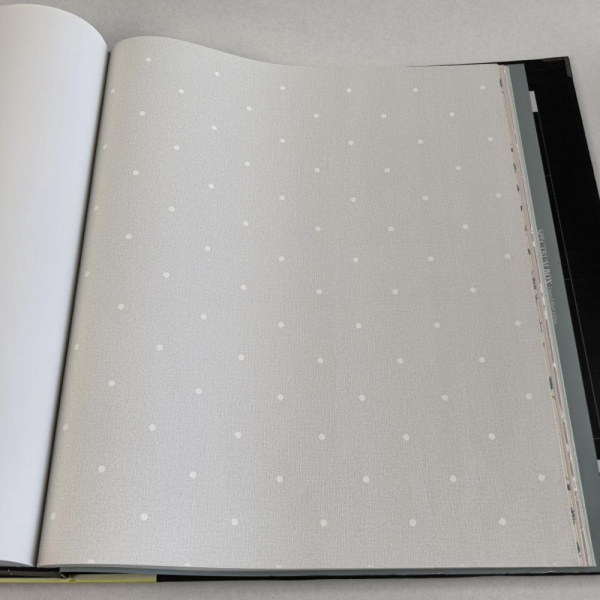 Andrea Rossi Spectrum Box 54454-8