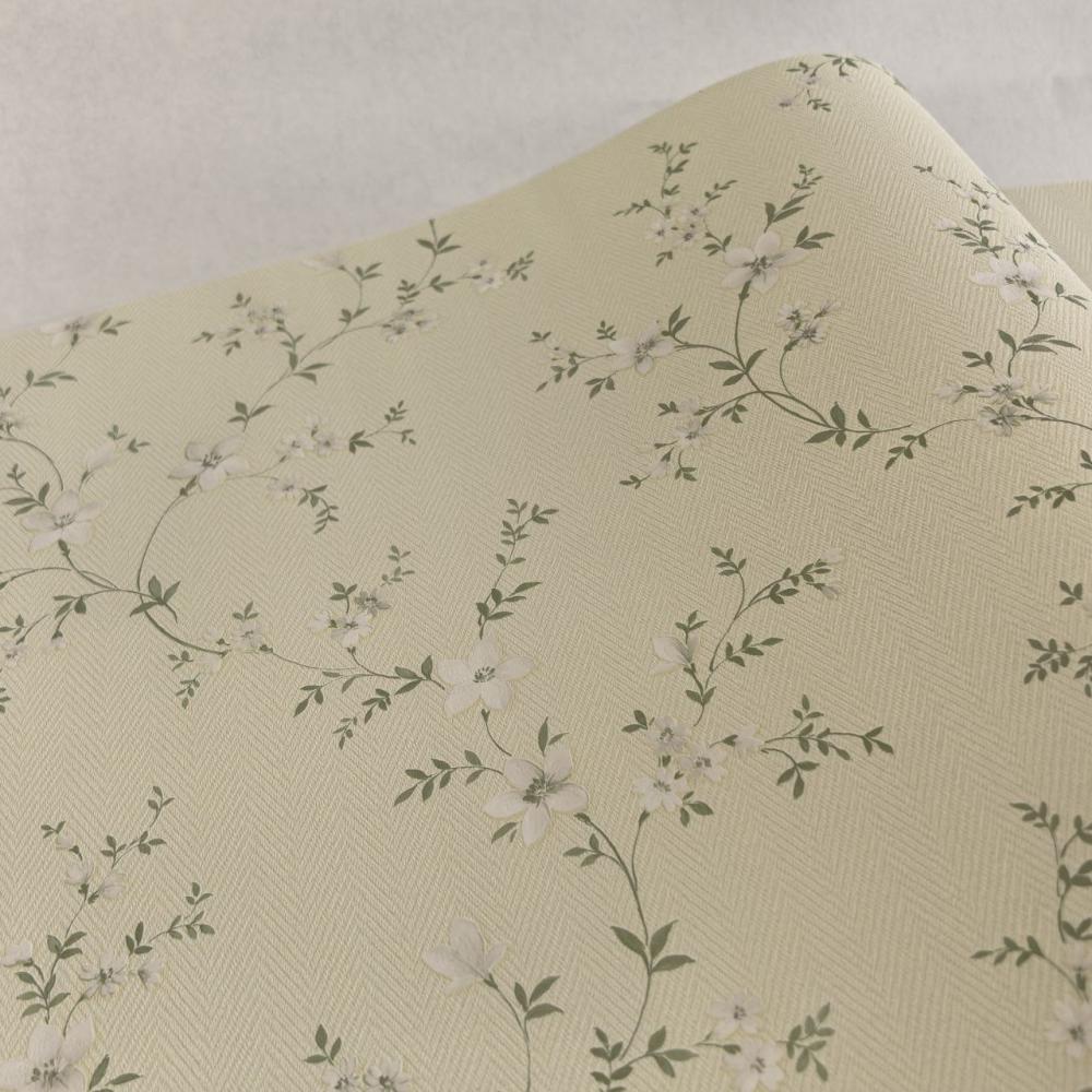 Alessandro Allori Bruni RBN 1001-7 Alessandro Allori Bruni RBN 1001-7