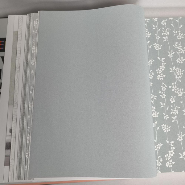 Andrea Rossi Berggi 54450-8