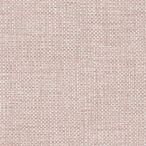 Andrea Rossi Gallinara 54317-6