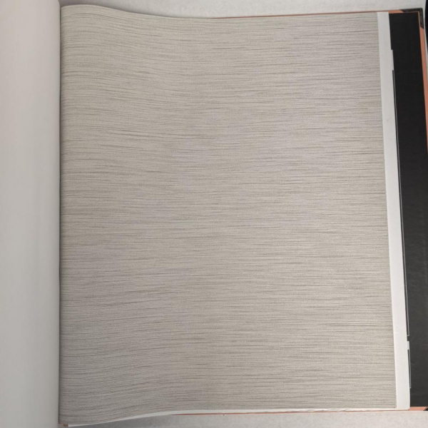 Andrea Rossi Berggi 54438-5